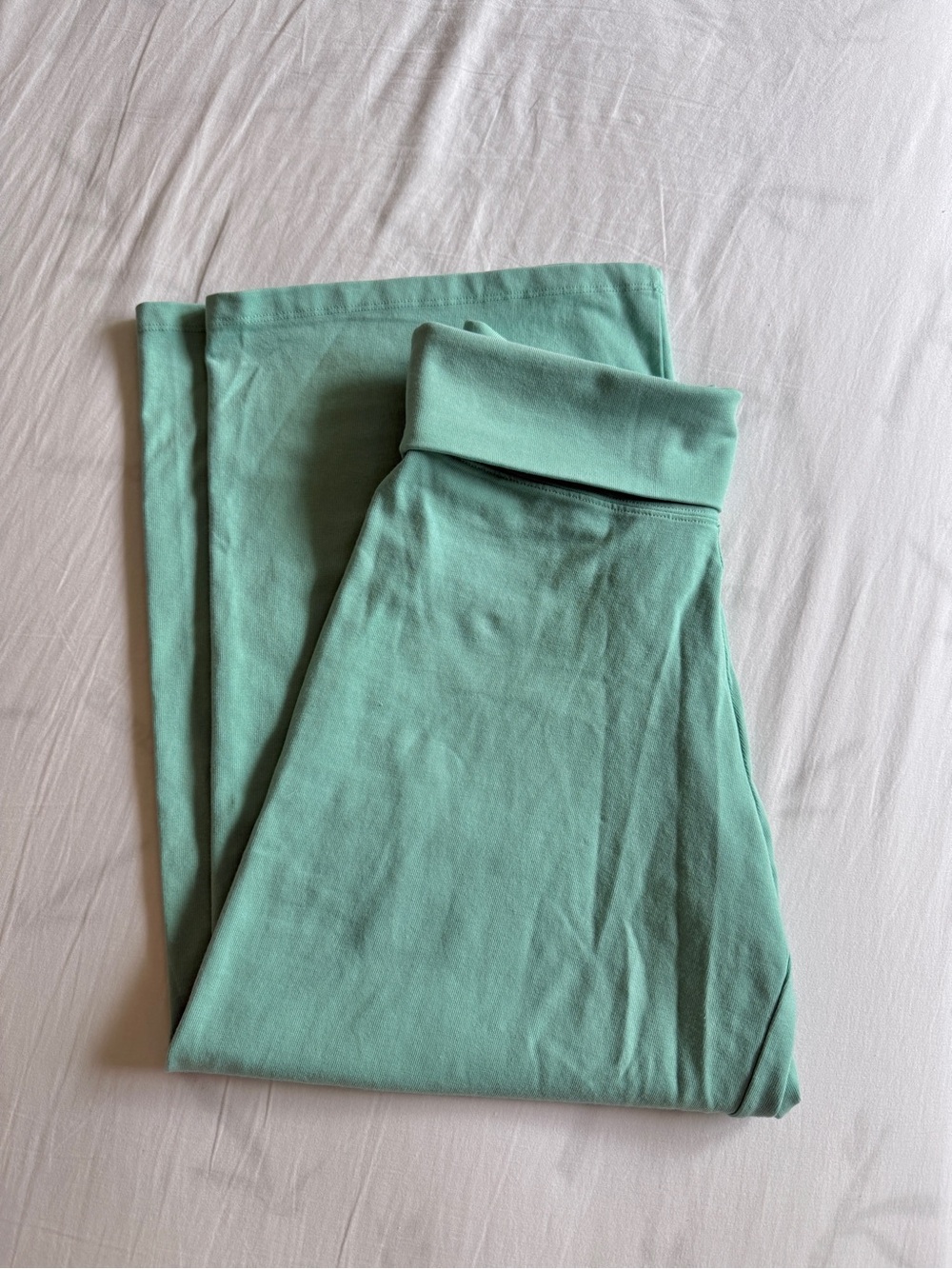 New Brandy Melville Teal Priscilla Capri Pants